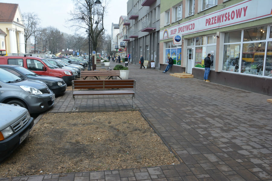 Nasadzą nowe drzewa w centrum miasta, wytną chore - Grodzisk News