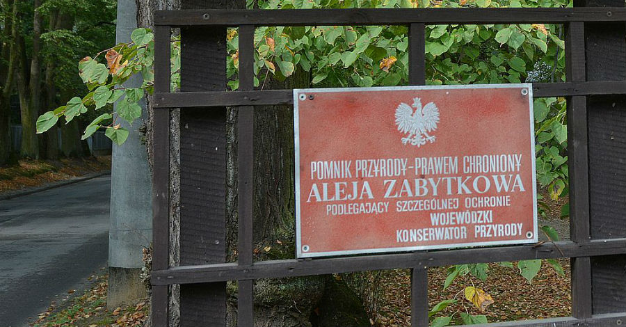Kilkanaście nowych pomników przyrody w gminie - Grodzisk News