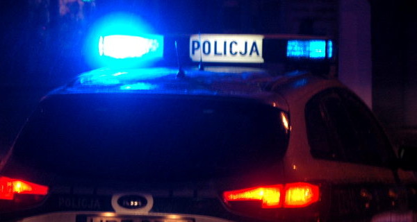 Radiowóz uderzył w sarnę - Grodzisk News