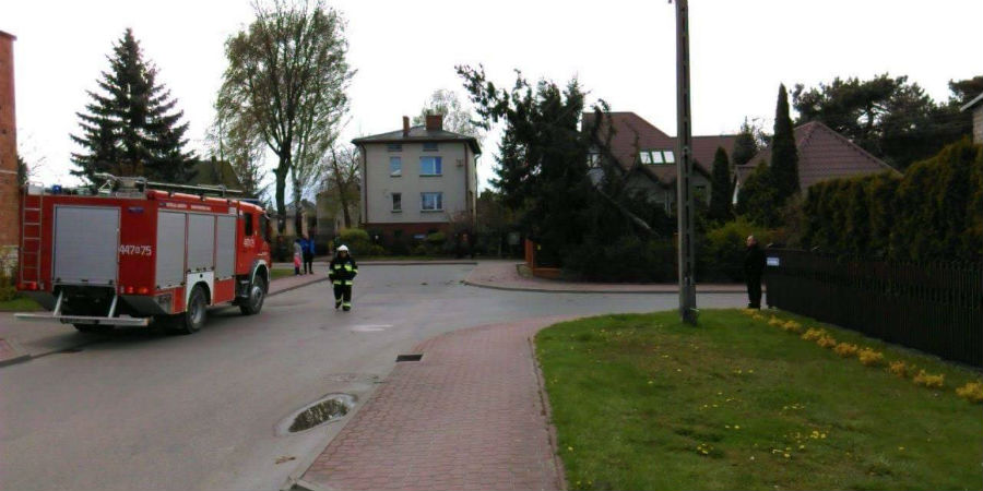 Pracowite popołudnie strażaków - Grodzisk News
