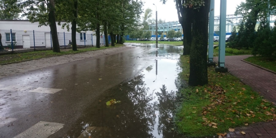 Problem z deszczówką na ul. Świeżej czeka na rozwiązanie [WIDEO] - Grodzisk News