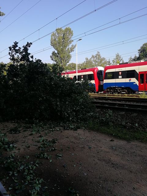 Drzewo uszkodziło sieć trakcyjną. Duże utrudnienia na WKD - Grodzisk News