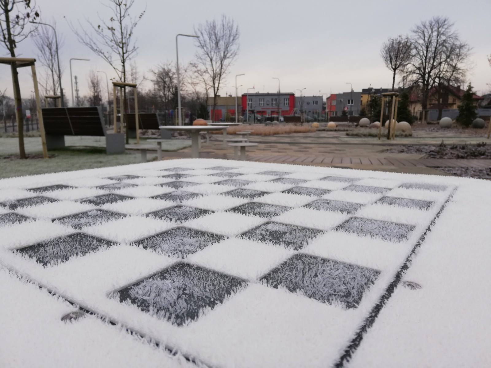 Pierwsze oznaki zimy oszroniły grodziskie parki i place [FOTO] - Grodzisk News