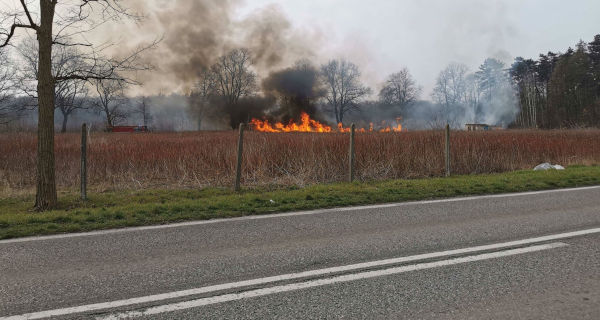 Pożary traw w Otrębusach i Kałęczynie [FOTO] - Grodzisk News