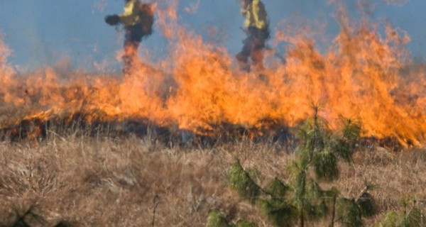 Rozpoczęło się wypalanie traw. Cztery pożary jednego dnia - Grodzisk News