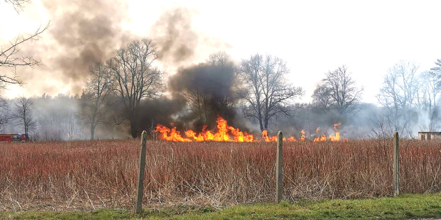 Cztery pożary traw w regionie - Grodzisk News