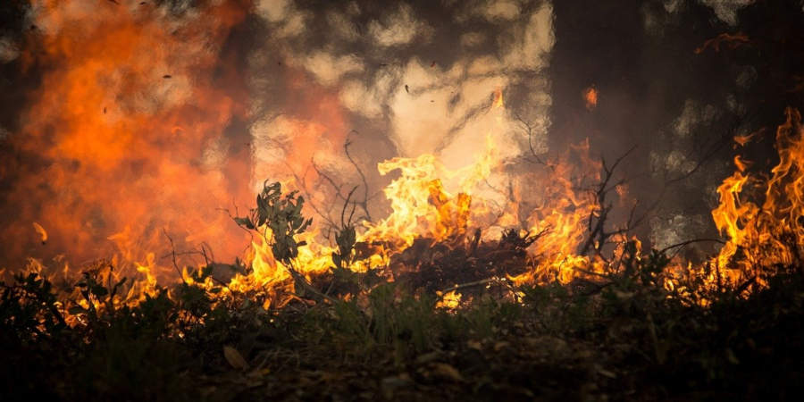 Pożary lasu i traw w gminie Jaktorów - Grodzisk News