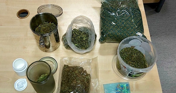 Policyjny nalot na plantację marihuany w powiecie grodziskim - foto: Komenda Rejonowa Policji II Mokotów