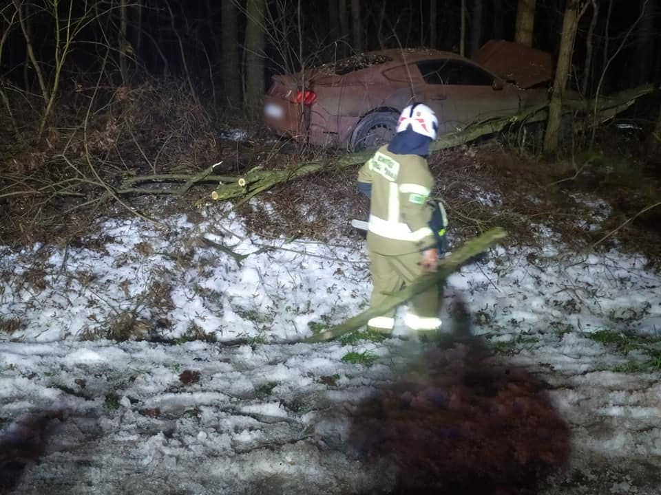 Żabia Wola. Uderzył w drzewo, a to nie pierwszy drogowy wybryk. Są zdjęcia - foto: Facebook/OSP Żelechów