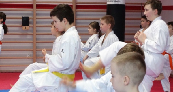 Grodziscy karatecy na medal - Grodzisk News
