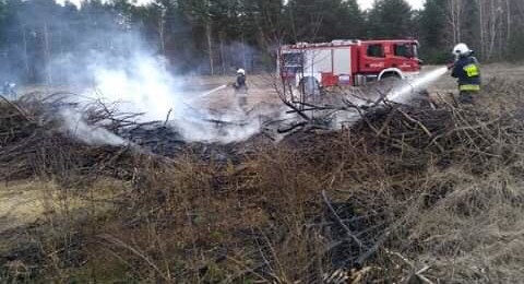 Popołudniowy pożar w Międzyborowie [FOTO] - Grodzisk News