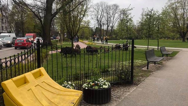 Niespodziewani goście w Parku Skarbków [FOTO] - foto: Czytelniczka