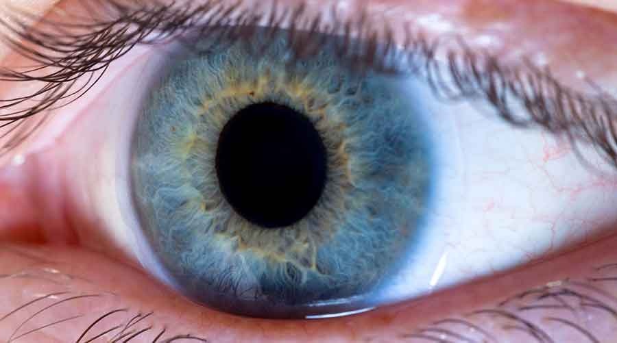Co trzeba wiedzieć o wadach wzroku? Krótkowzroczność i dalekowzroczność - Grodzisk News