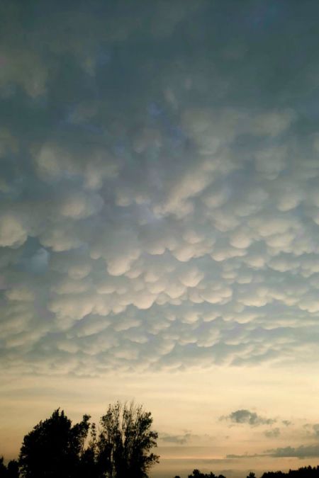 Niebo nad powiatem. Zdjęcia czytelników – część druga - Grodzisk News
