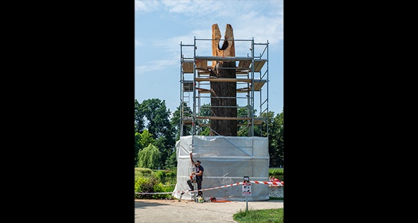 Drzewo na Stawach Walczewskiego zamieni się w rzeźbę [FOTO] - Grodzisk News
