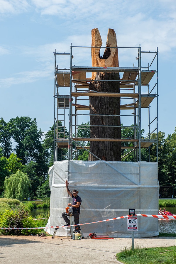 Drzewo na Stawach Walczewskiego zamieni się w rzeźbę [FOTO] - foto: Facebook/Urząd Gminy Grodzisk Maz.