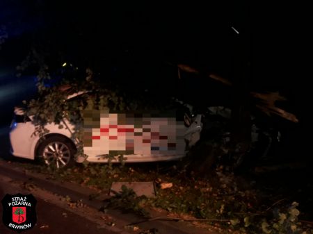 Brwinów. Kierowca uderzył w drzewo, poszukuje go policja [FOTO] - Grodzisk News