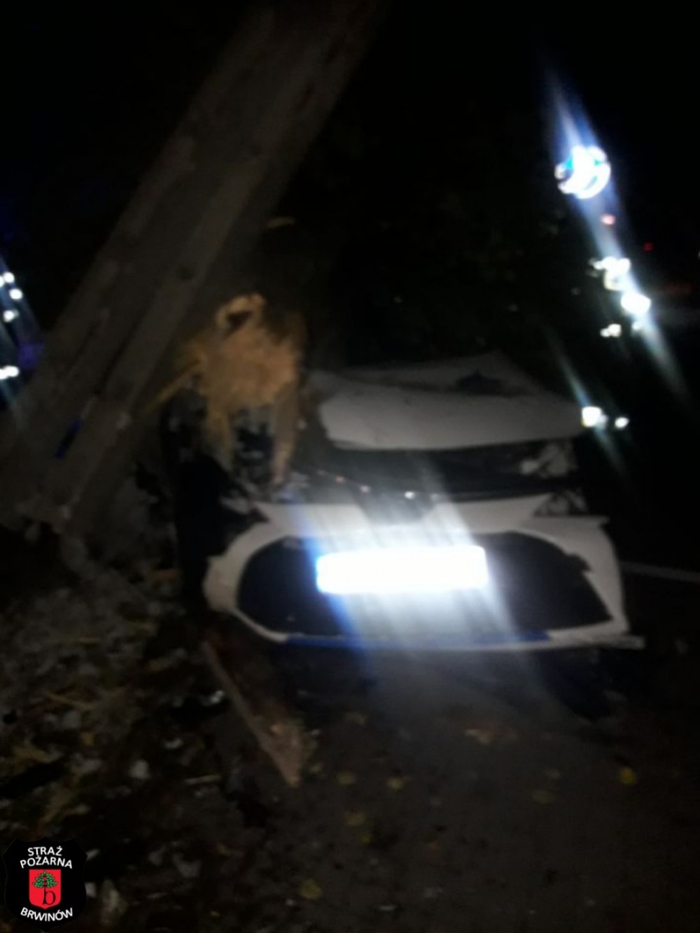 Brwinów. Kierowca uderzył w drzewo, poszukuje go policja [FOTO] - foto: Facebook/OSP Brwinów