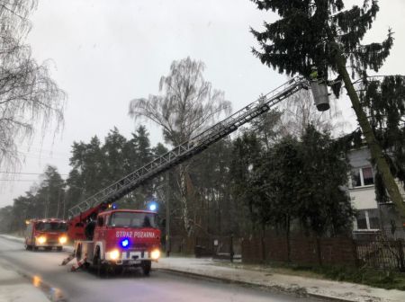 Blisko 100 interwencji strażaków po wichurach w regionie - Grodzisk News