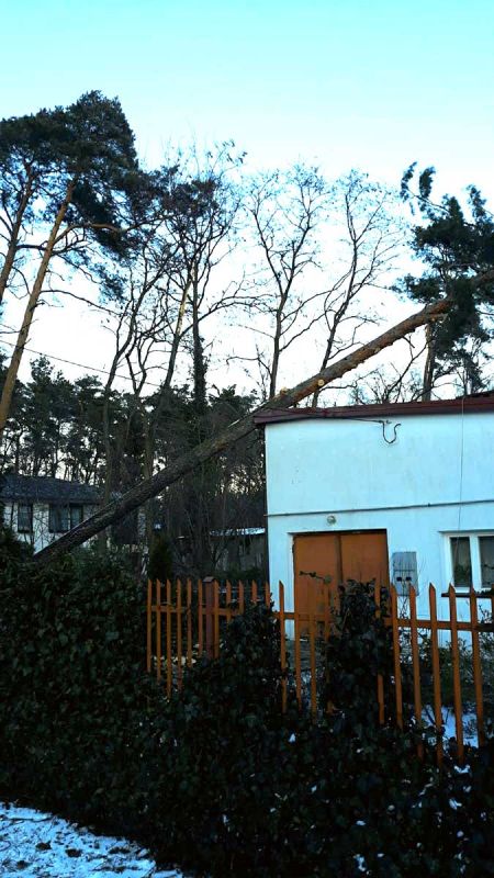 Wiatr łamał drzewa, zrywał linie. Kolejne zgłoszenia [FOTO] - Grodzisk News