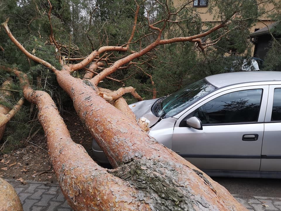 Orkan Eunice zebrał gorzkie żniwo [FOTO] - foto: Facebook/Burmistrz Artur Tusiński