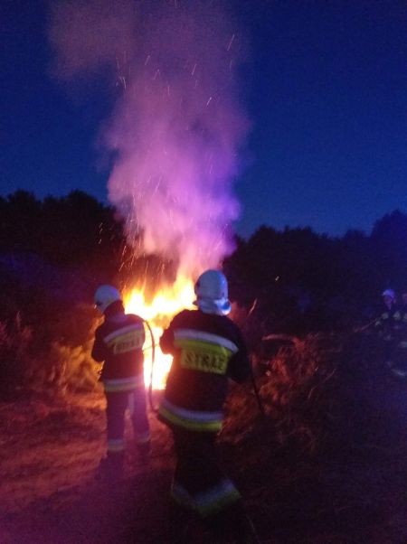 Sobotnie pożary w Sadych Budach i Międzyborowie - Grodzisk News