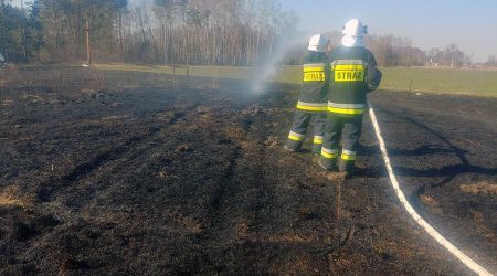 Weekendowy pożar trawy w jaktorowskiej gminie. Dwa zastępy w akcji - Grodzisk News