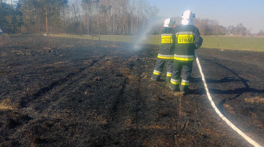 Weekendowy pożar trawy w jaktorowskiej gminie. Dwa zastępy w akcji - foto: Facebook/OSP Międzyborów