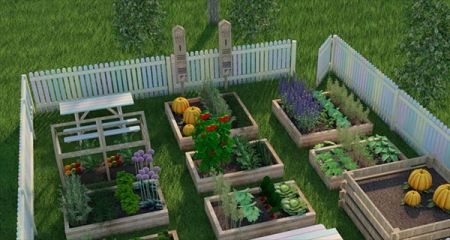 Nasze przedszkola walczą o ogródki warzywne. Głosuj i pomóż je zdobyć! - Grodzisk News