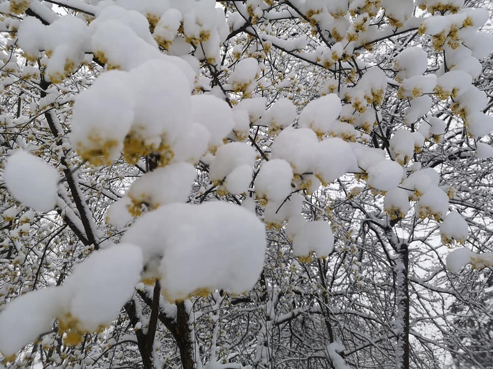 Pełnia zimy drugiego kwietnia?  Czemu nie... Zobaczcie zdjęcia - foto: Facebook/Burmistrz Artur Tusiński