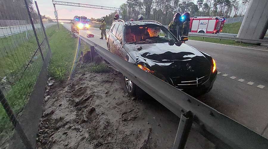 Poranne zderzenie mercedesa z łosiem na trasie S8 [FOTO] - Grodzisk News