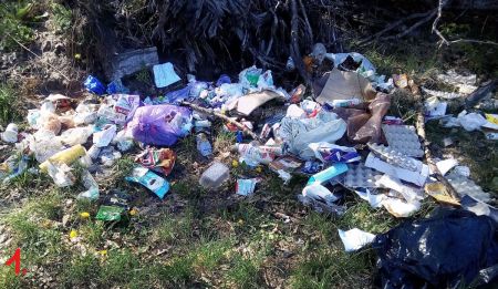 Śmieciarze załapani w foto-pułapkę - Grodzisk News