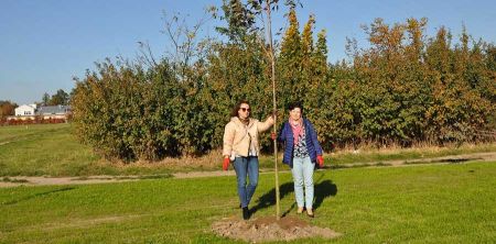 Nowe drzewa przy strefie rekreacji - Grodzisk News