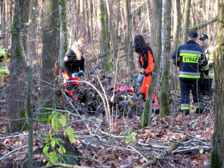 Makówka. 12-latka zaginęła w lesie. Spokojnie – to tylko ćwiczenia - Grodzisk News