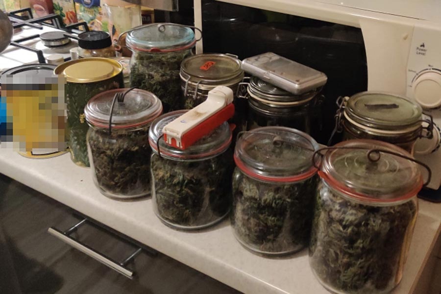 Zatrzymany za posiadanie dużej ilości i udzielanie marihuany [FOTO] - foto: KPP Pruszków