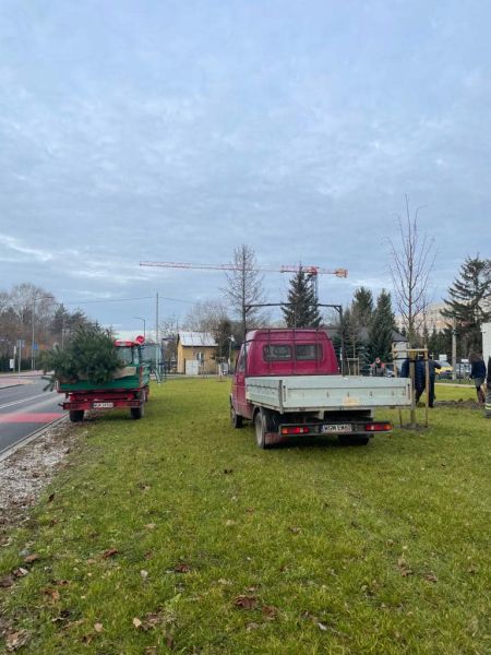 Nowy rok – nowe nasadzenia drzew w grodziskiej gminie [FOTO] - Grodzisk News