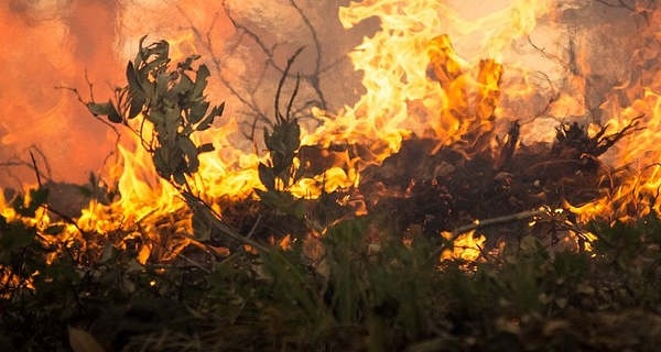 Kolejny pożar w Maryninie - Grodzisk News