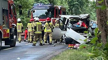Wypadek w Maryninie. Kierowca busa uderzył w drzewo - Grodzisk News