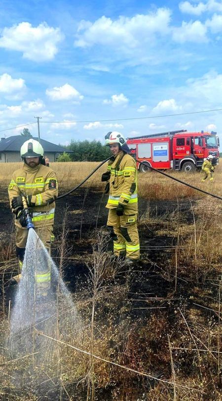 Pożar trawy w Budkach Petrykowskich. Nasze zastępy w akcji - Grodzisk News