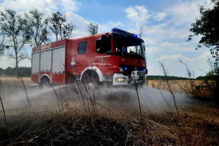 Pożar trawy w Budkach Petrykowskich. Nasze zastępy w akcji - Grodzisk News