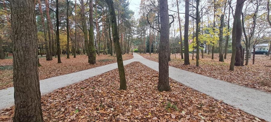 Odnowiony Park Lasockiego czeka na mieszkańców [FOTO] - foto: Facebook/Piotr Remiszewski - Burmistrz Miasta Milanówka