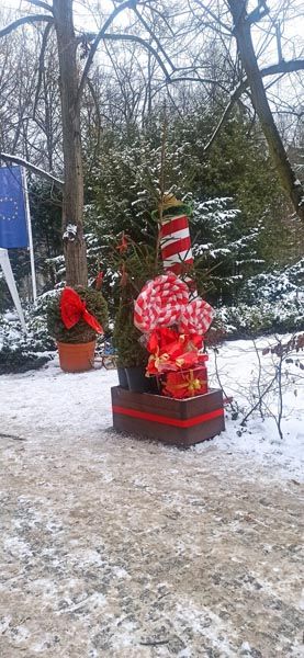Jarmark świąteczny opanował Podkowę [FOTO] - Grodzisk News