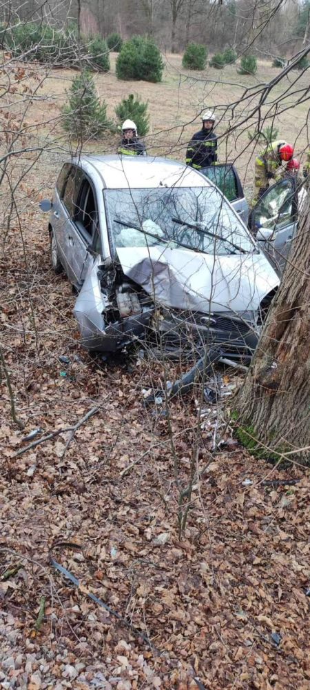 Samochód uderzył w drzewo - Grodzisk News