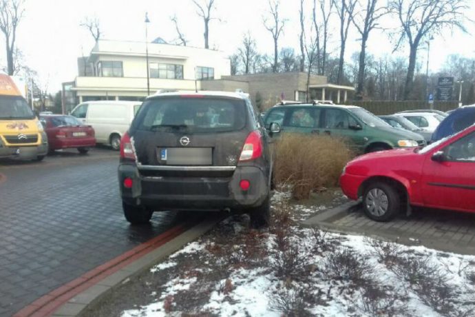 mistrz-parkowania-grodzisk-grudzien4