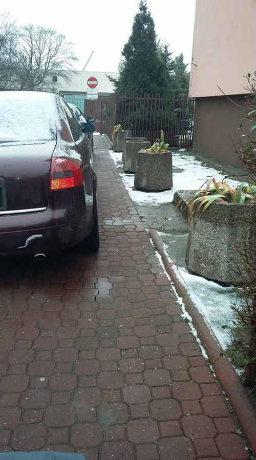mistrzowie-parkowania-baltycka-czyt-katarzyna